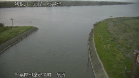 tonsu2026050619_image