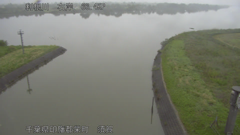 tonsu2026050706_image