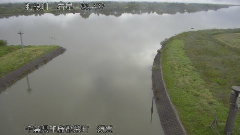 tonsu2026050707_image