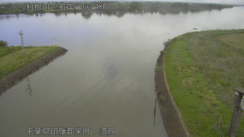 tonsu2026050709_image