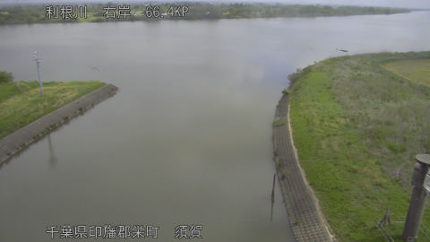 tonsu2026050710_image