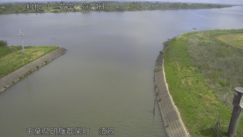 tonsu2026050711_image