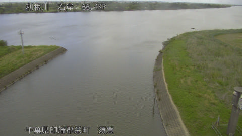 tonsu2026050713_image