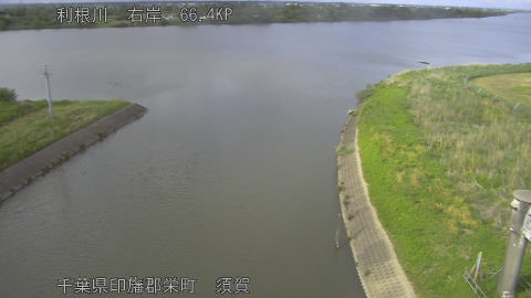 tonsu2026050716_image