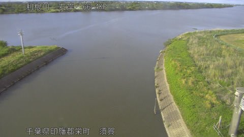 tonsu2026050717_image