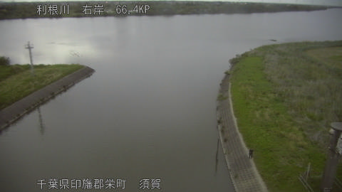 tonsu2026050719_image
