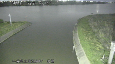 tonsu2026050720_image