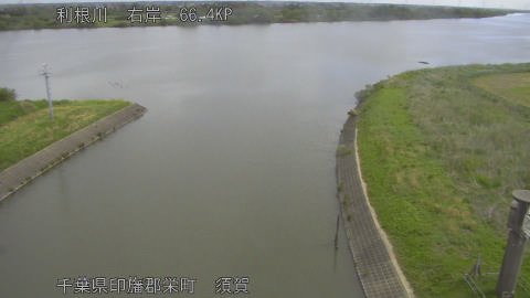 tonsu2026050809_image