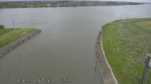 tonsu2026050812_image