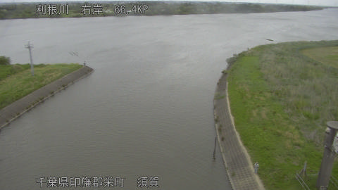 tonsu2026050817_image
