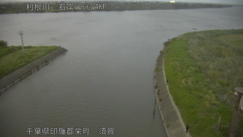 tonsu2026050819_image
