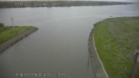 tonsu2026050905_image