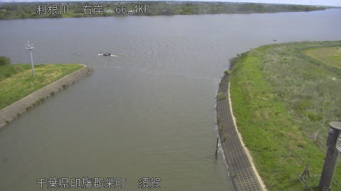 tonsu2026050909_image