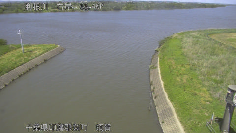 tonsu2026050913_image