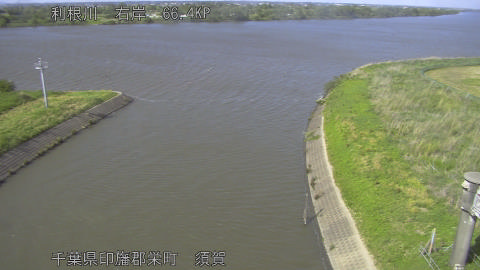 tonsu2026050915_image