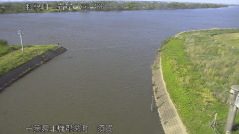 tonsu2026050916_image