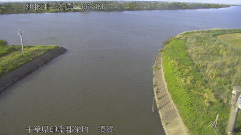 tonsu2026050917_image