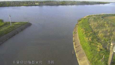 tonsu2026050918_image