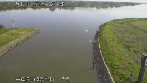 tonsu2026051008_image