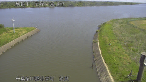 tonsu2026051010_image