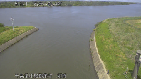 tonsu2026051013_image