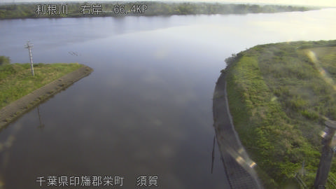 tonsu2026051106_image