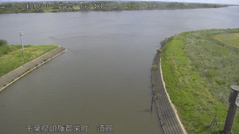 tonsu2026051109_image