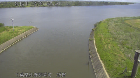 tonsu2026051110_image