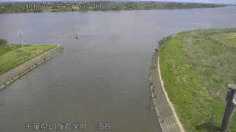 tonsu2026051111_image