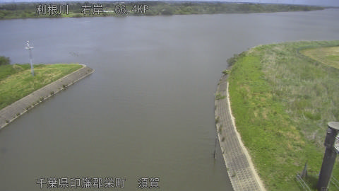 tonsu2026051112_image