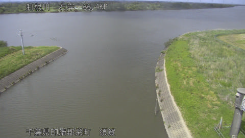 tonsu2026051114_image