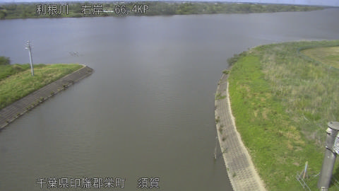 tonsu2026051115_image