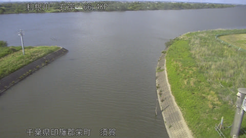 tonsu2026051116_image