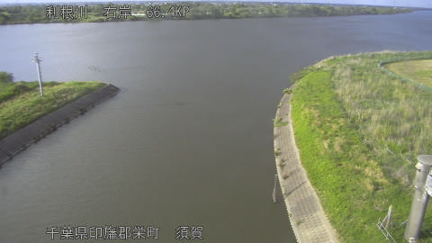 tonsu2026051117_image