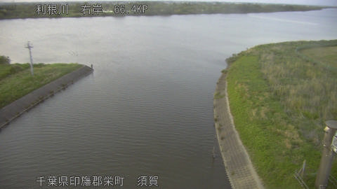 tonsu2026051119_image