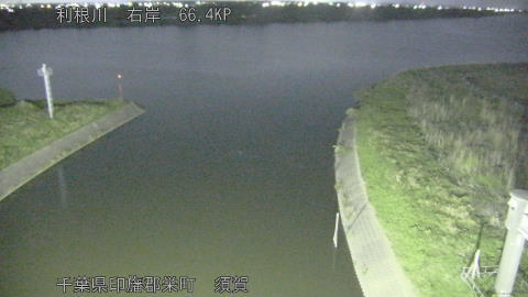 tonsu2026051122_image
