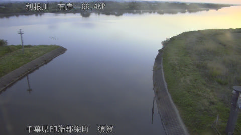 tonsu2026051205_image