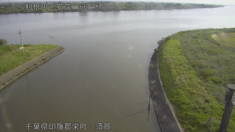 tonsu2026051207_image