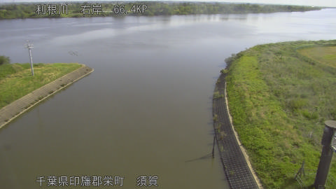 tonsu2026051208_image
