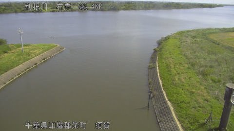tonsu2026051209_image