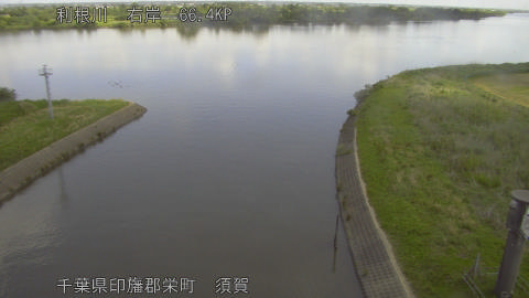 tonsu2026051210_image