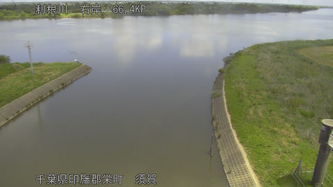 tonsu2026051211_image