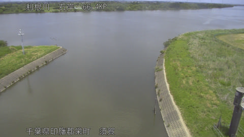 tonsu2026051212_image