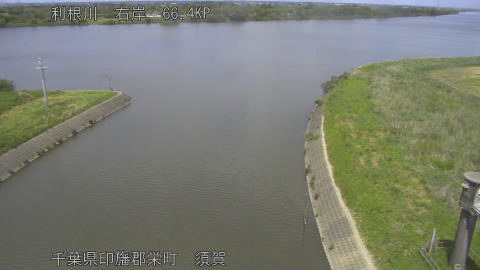 tonsu2026051213_image