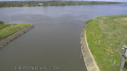 tonsu2026051214_image