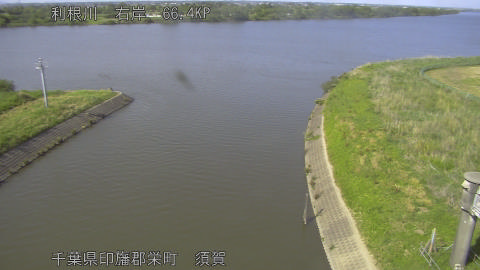 tonsu2026051215_image