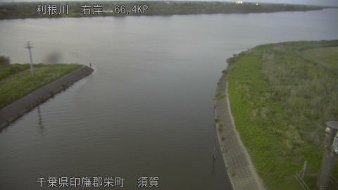 tonsu2026051219_image