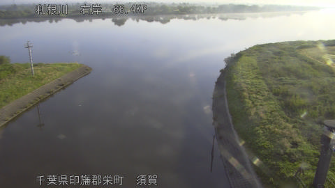 tonsu2026051306_image
