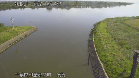 tonsu2026051308_image