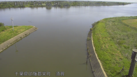 tonsu2026051309_image